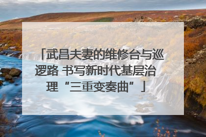 武昌夫妻的维修台与巡逻路 书写新时代基层治理“三重变奏曲”