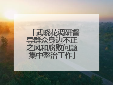 武晓花调研督导群众身边不正之风和腐败问题集中整治工作