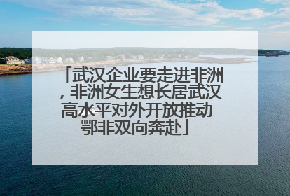 武汉企业要走进非洲，非洲女生想长居武汉 高水平对外开放推动鄂非双向奔赴