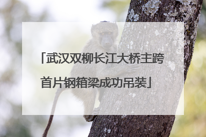武汉双柳长江大桥主跨首片钢箱梁成功吊装