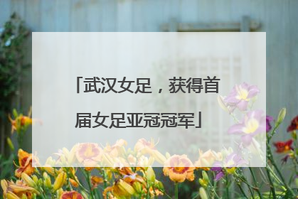 武汉女足，获得首届女足亚冠冠军