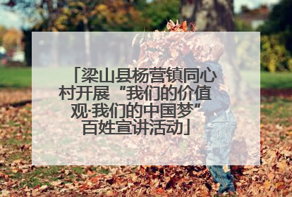 梁山县杨营镇同心村开展“我们的价值观·我们的中国梦”百姓宣讲活动