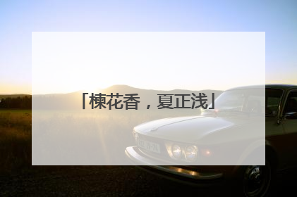 楝花香，夏正浅