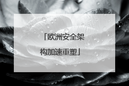 欧洲安全架构加速重塑