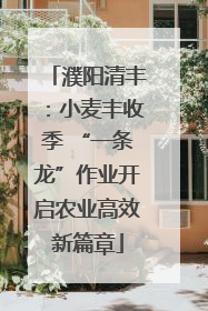 濮阳清丰：小麦丰收季 “一条龙”作业开启农业高效新篇章