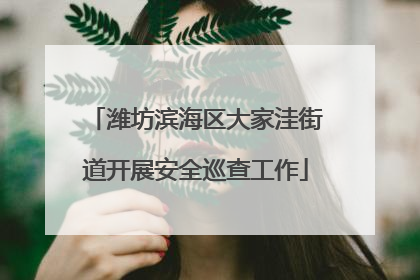 潍坊滨海区大家洼街道开展安全巡查工作