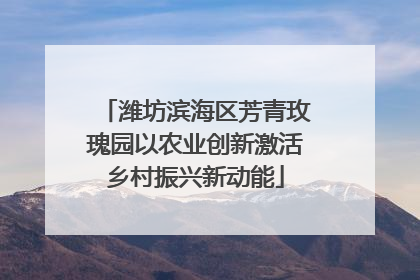 潍坊滨海区芳青玫瑰园以农业创新激活乡村振兴新动能
