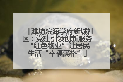 潍坊滨海学府新城社区：党建引领创新服务 “红色物业”让居民生活“幸福满格”