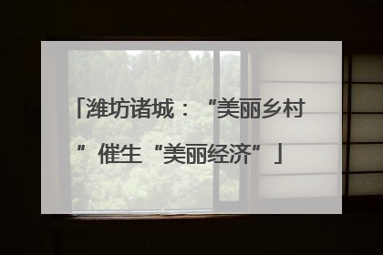 潍坊诸城：“美丽乡村”催生“美丽经济”