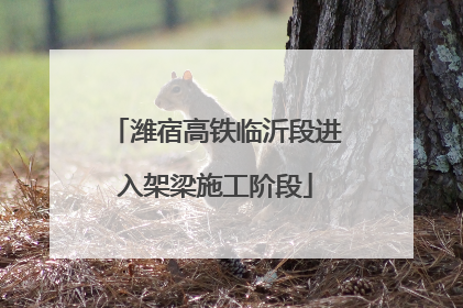 潍宿高铁临沂段进入架梁施工阶段