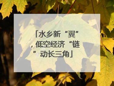 水乡新“翼”，低空经济“链”动长三角