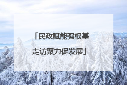 民政赋能强根基 走访聚力促发展