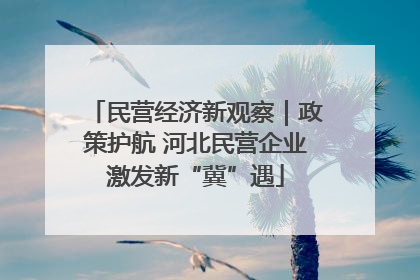 民营经济新观察｜政策护航 河北民营企业激发新“冀”遇
