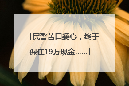 民警苦口婆心，终于保住19万现金……