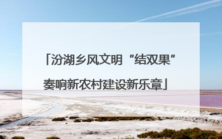 汾湖乡风文明“结双果” 奏响新农村建设新乐章