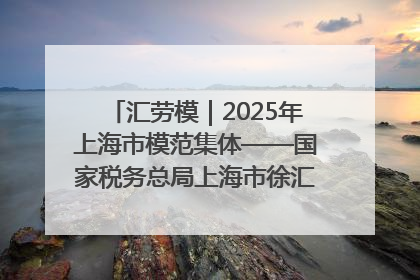 汇劳模｜2025年上海市模范集体——国家税务总局上海市徐汇区税务局第一税务所