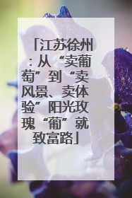 江苏徐州：从“卖葡萄”到“卖风景、卖体验”阳光玫瑰“葡”就致富路