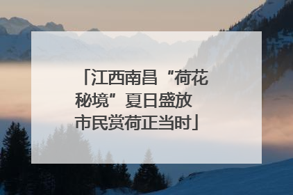 江西南昌“荷花秘境”夏日盛放 市民赏荷正当时