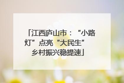 江西庐山市：“小路灯”点亮“大民生” 乡村振兴稳提速