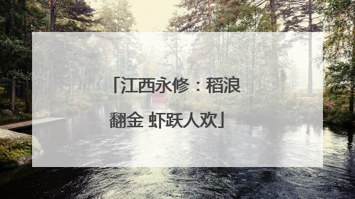 江西永修：稻浪翻金 虾跃人欢