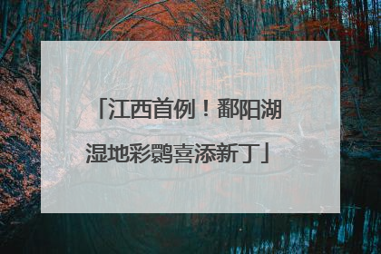 江西首例！鄱阳湖湿地彩鹮喜添新丁