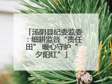 汤阴县纪委监委：细耕监督“责任田” 暖心守护“夕阳红”