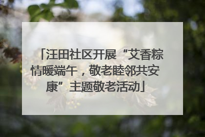 汪田社区开展“艾香粽情暖端午，敬老睦邻共安康”主题敬老活动