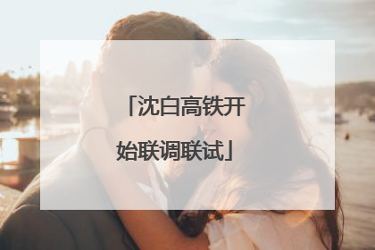 沈白高铁开始联调联试