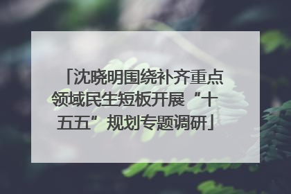 沈晓明围绕补齐重点领域民生短板开展“十五五”规划专题调研