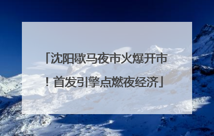 沈阳歇马夜市火爆开市！首发引擎点燃夜经济