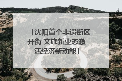 沈阳首个非遗街区开街 文旅新业态激活经济新动能