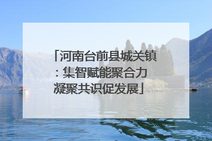 河南台前县城关镇：集智赋能聚合力 凝聚共识促发展