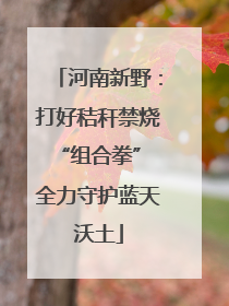 河南新野：打好秸秆禁烧“组合拳” 全力守护蓝天沃土