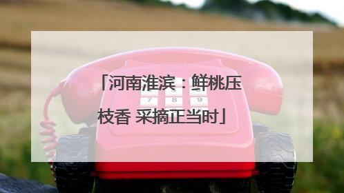 河南淮滨：鲜桃压枝香 采摘正当时