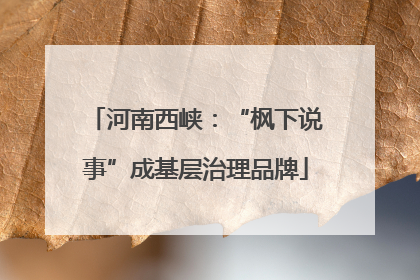 河南西峡：“枫下说事”成基层治理品牌