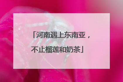 河南遇上东南亚，不止榴莲和奶茶