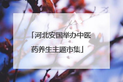 河北安国举办中医药养生主题市集