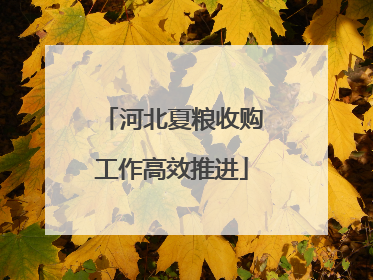 河北夏粮收购工作高效推进
