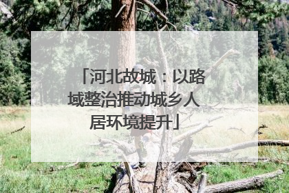 河北故城：以路域整治推动城乡人居环境提升