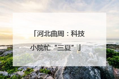 河北曲周：科技小院忙“三夏”