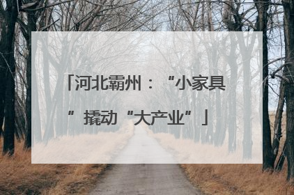 河北霸州：“小家具”撬动“大产业”