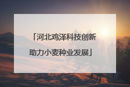 河北鸡泽科技创新助力小麦种业发展
