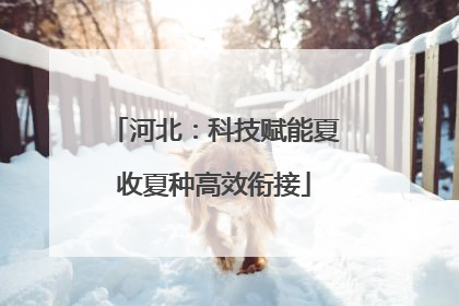 河北：科技赋能夏收夏种高效衔接