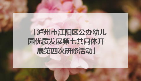 泸州市江阳区公办幼儿园优质发展第七共同体开展第四次研修活动