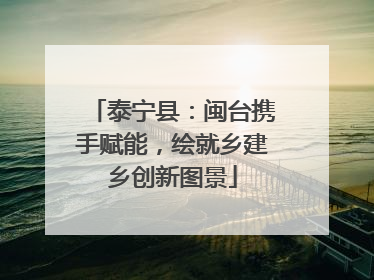 泰宁县：闽台携手赋能，绘就乡建乡创新图景