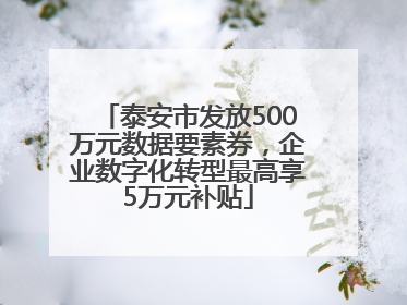 泰安市发放500万元数据要素券，企业数字化转型最高享5万元补贴