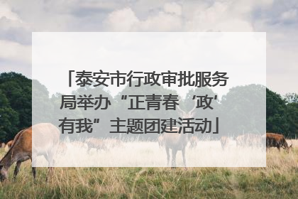 泰安市行政审批服务局举办“正青春‘政’有我”主题团建活动