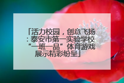 活力校园，创意飞扬：泰安市第一实验学校“一班一品”体育游戏展示精彩纷呈