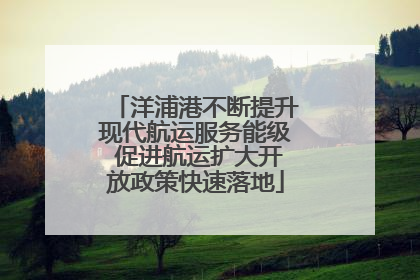 洋浦港不断提升现代航运服务能级 促进航运扩大开放政策快速落地