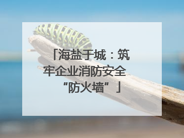 海盐于城：筑牢企业消防安全“防火墙”